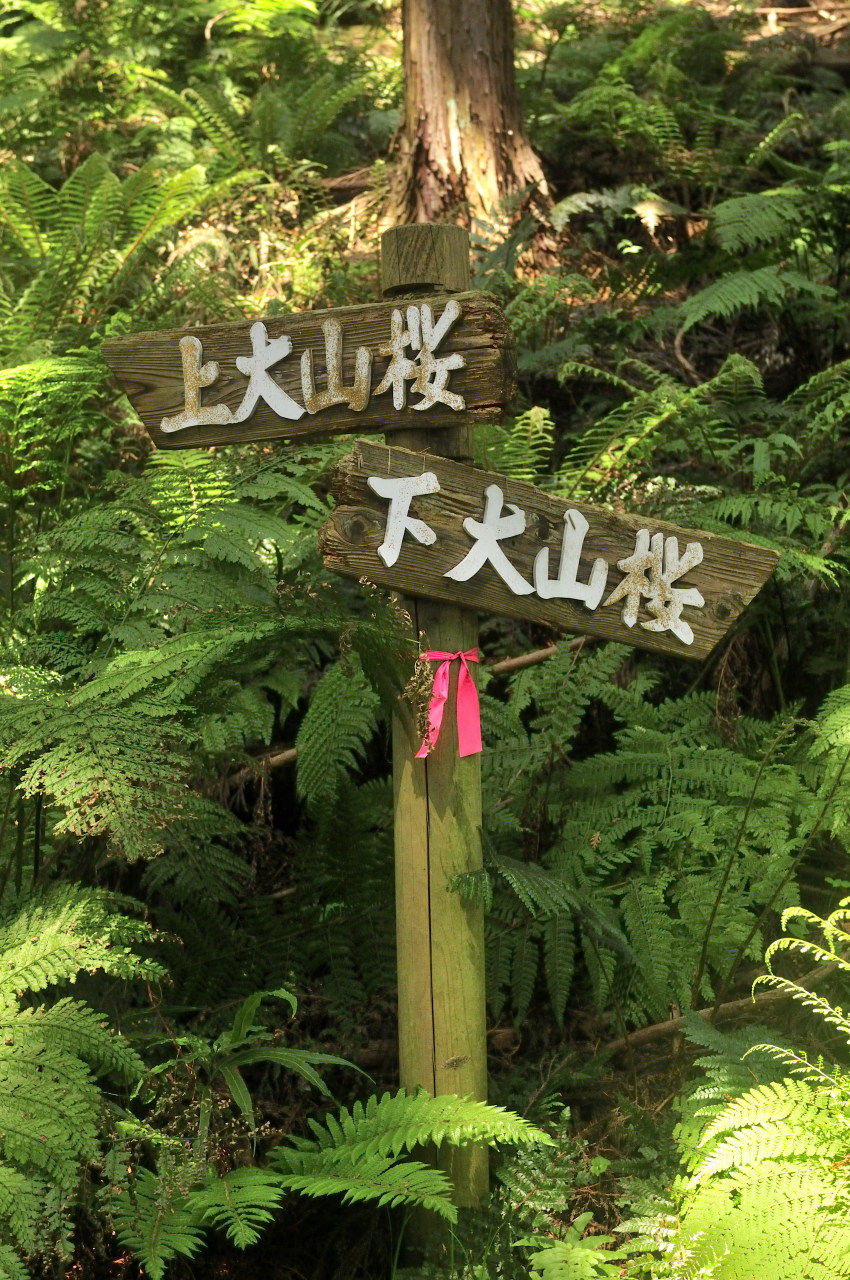 D2023022_037V