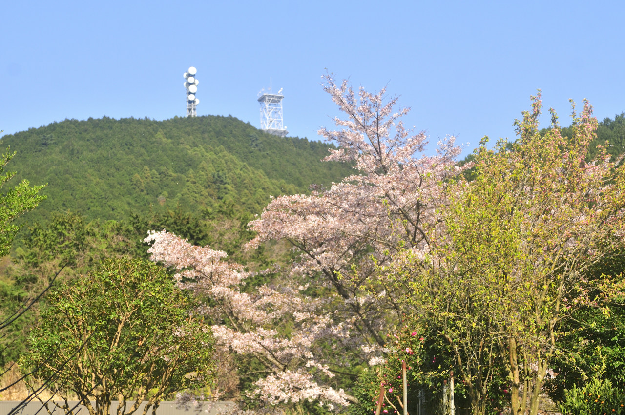 D2023024_062H