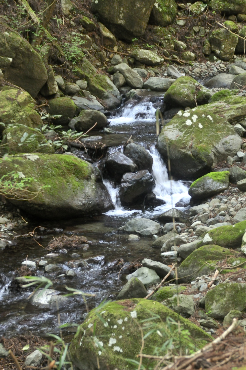 D2023024_075V