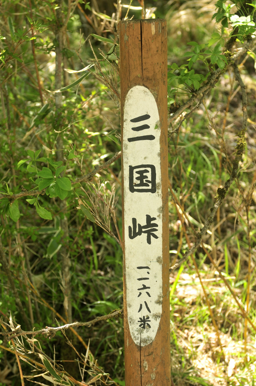 D2023035_002V