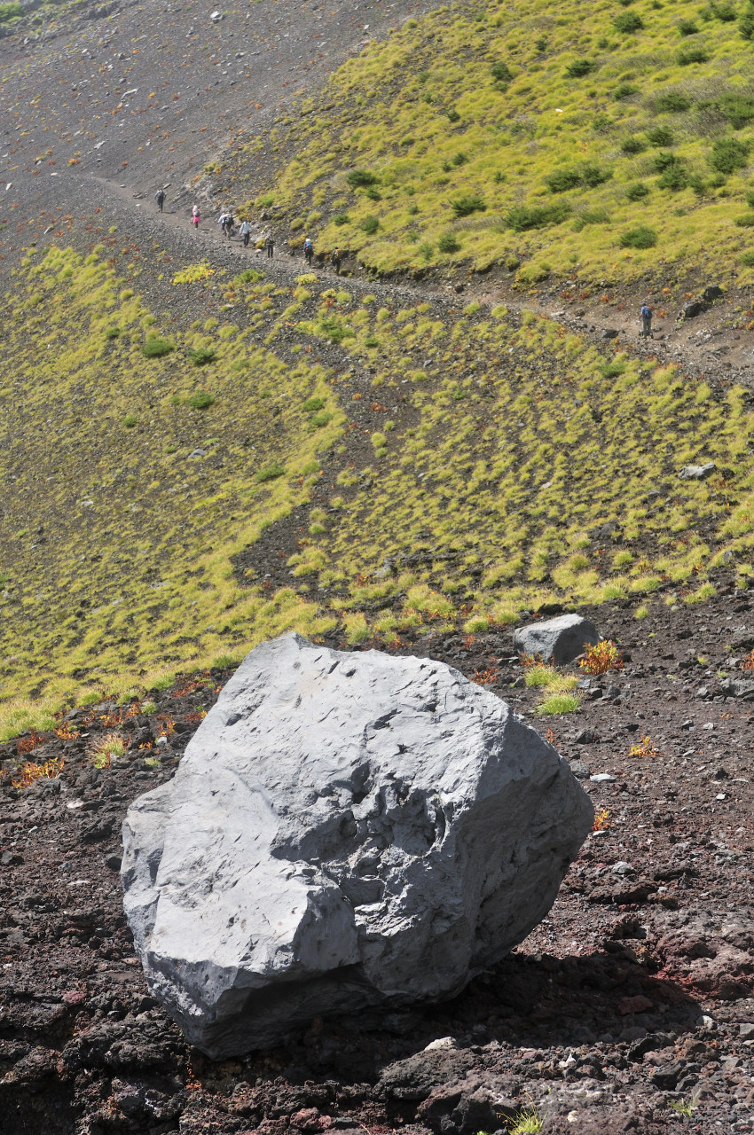 D2023074_057V