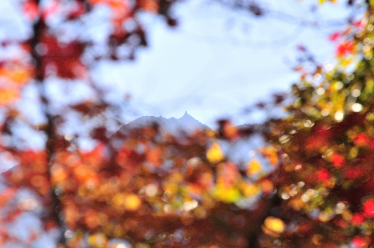 D2023081_025H