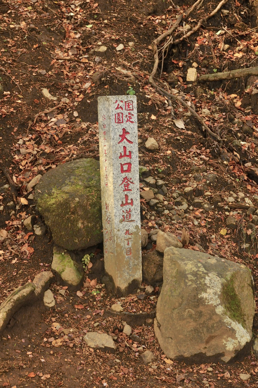 D2023090_192V