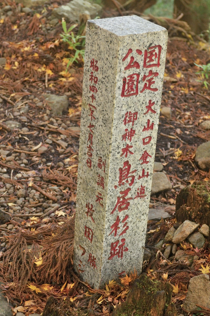 D2023090_228V