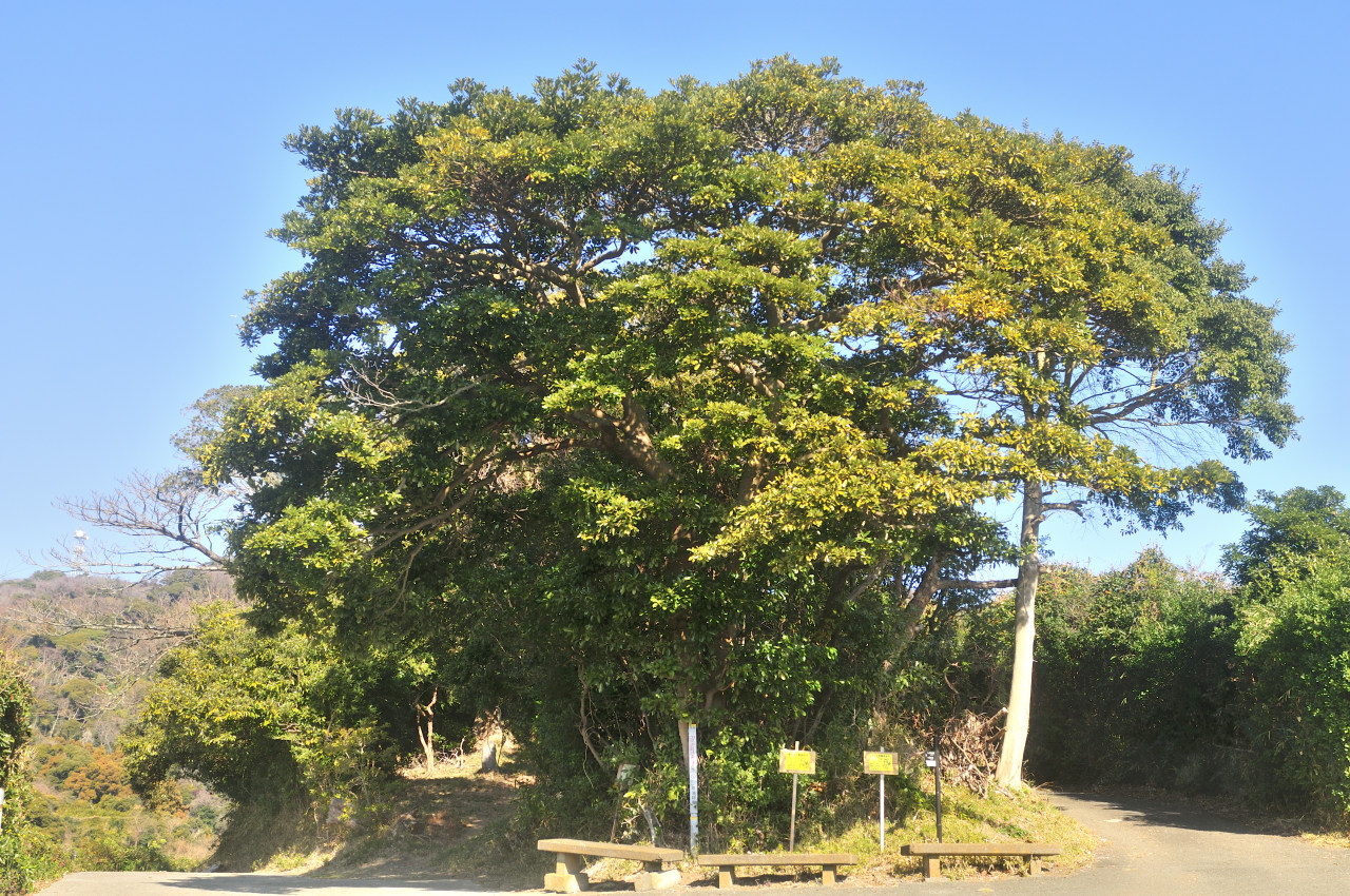 D2024008_028H