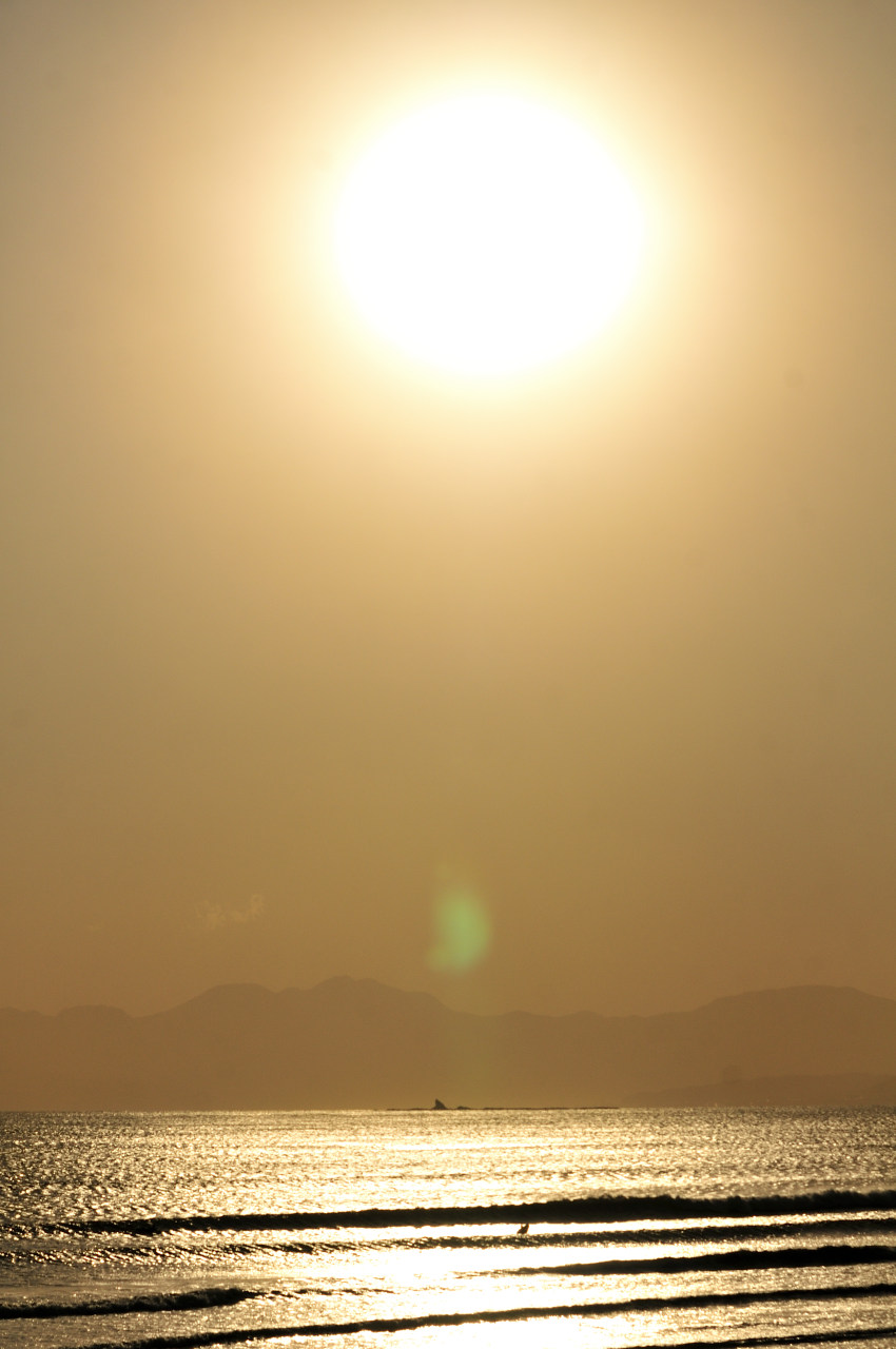 D2024020_040V