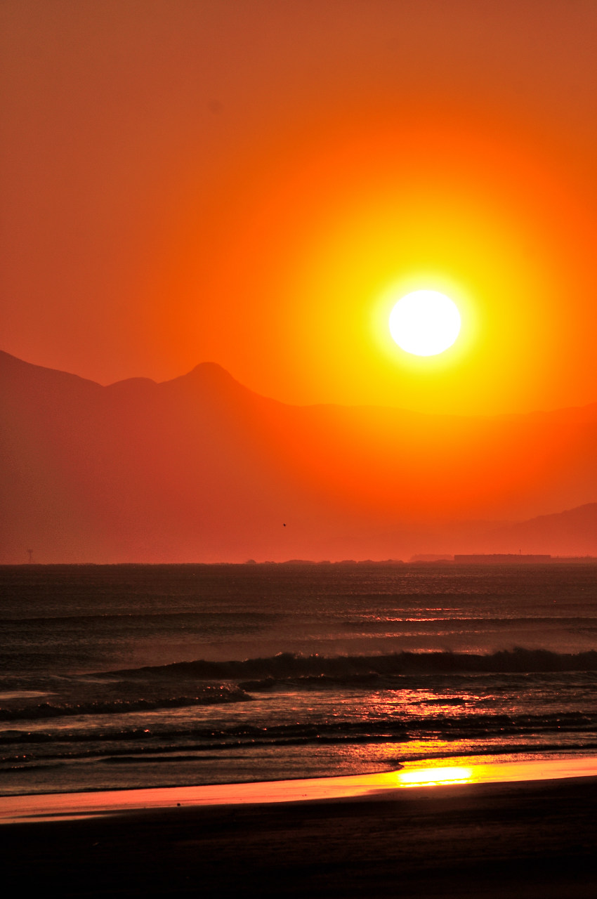D2024020_101V