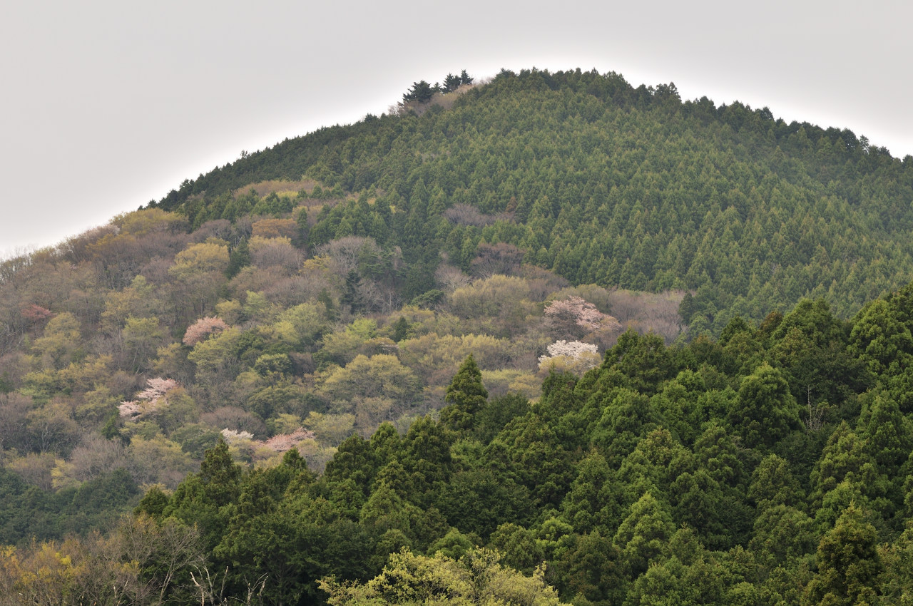 D2024022_176H
