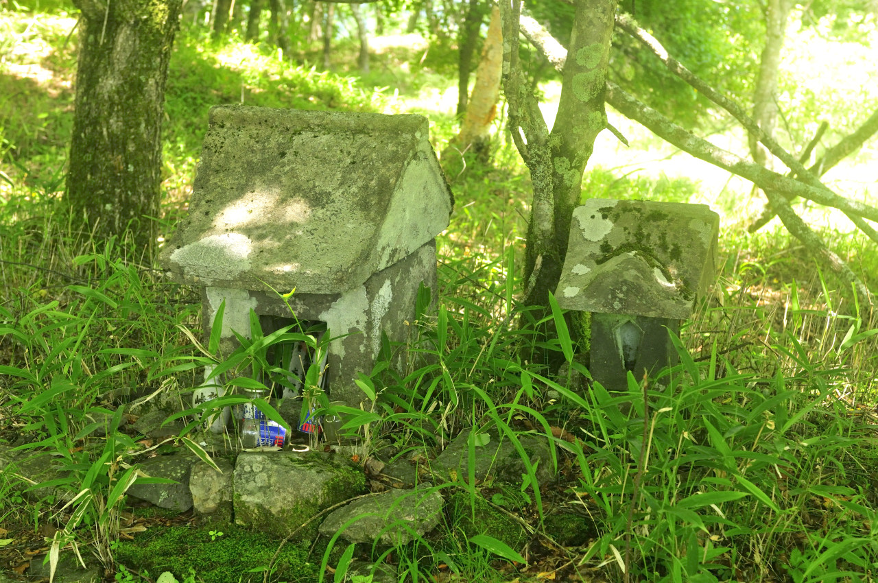 D2024029_081H