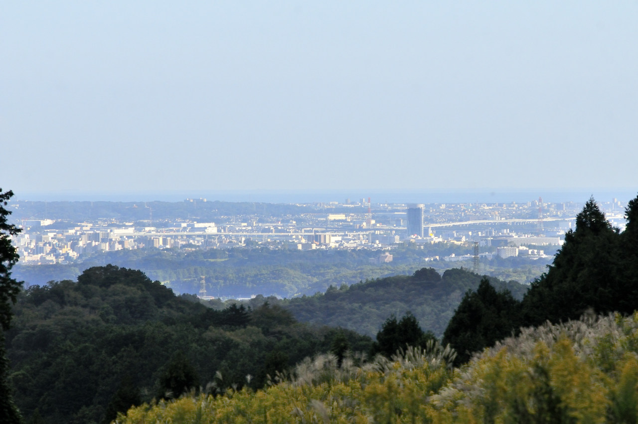 D2024040_013H