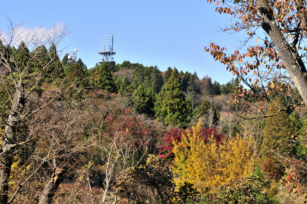 D2024048_059H