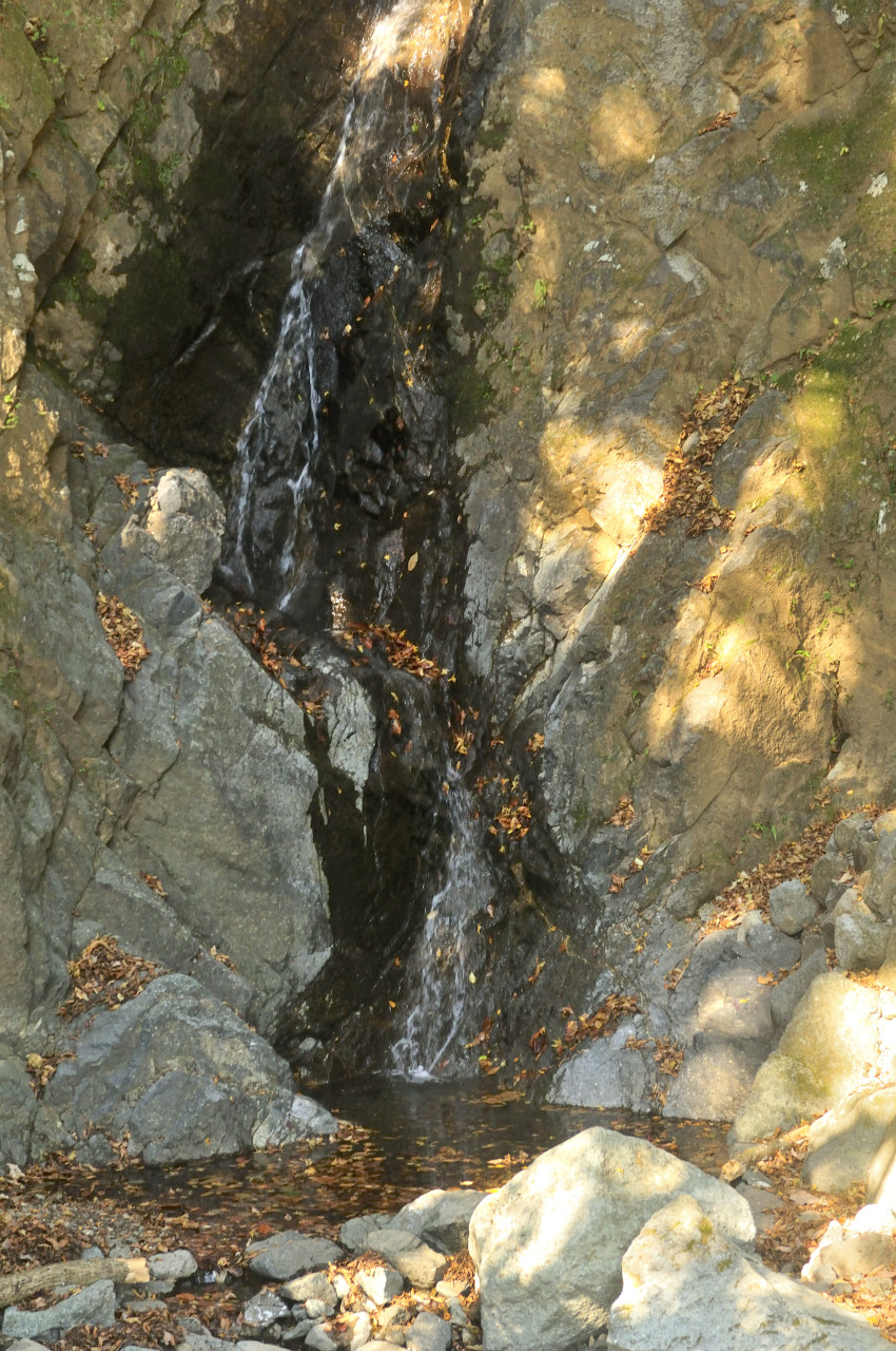 D2024052_282V