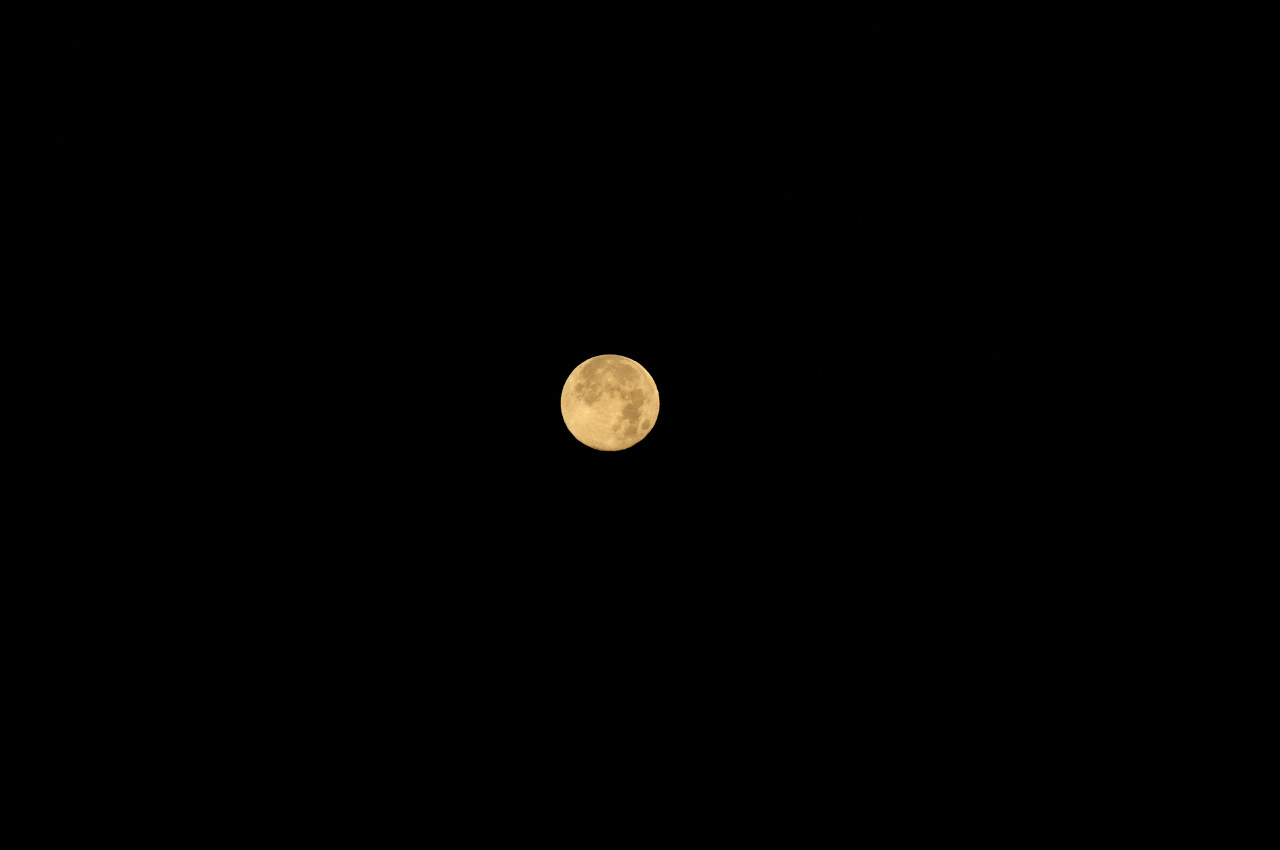 D2024058_016H