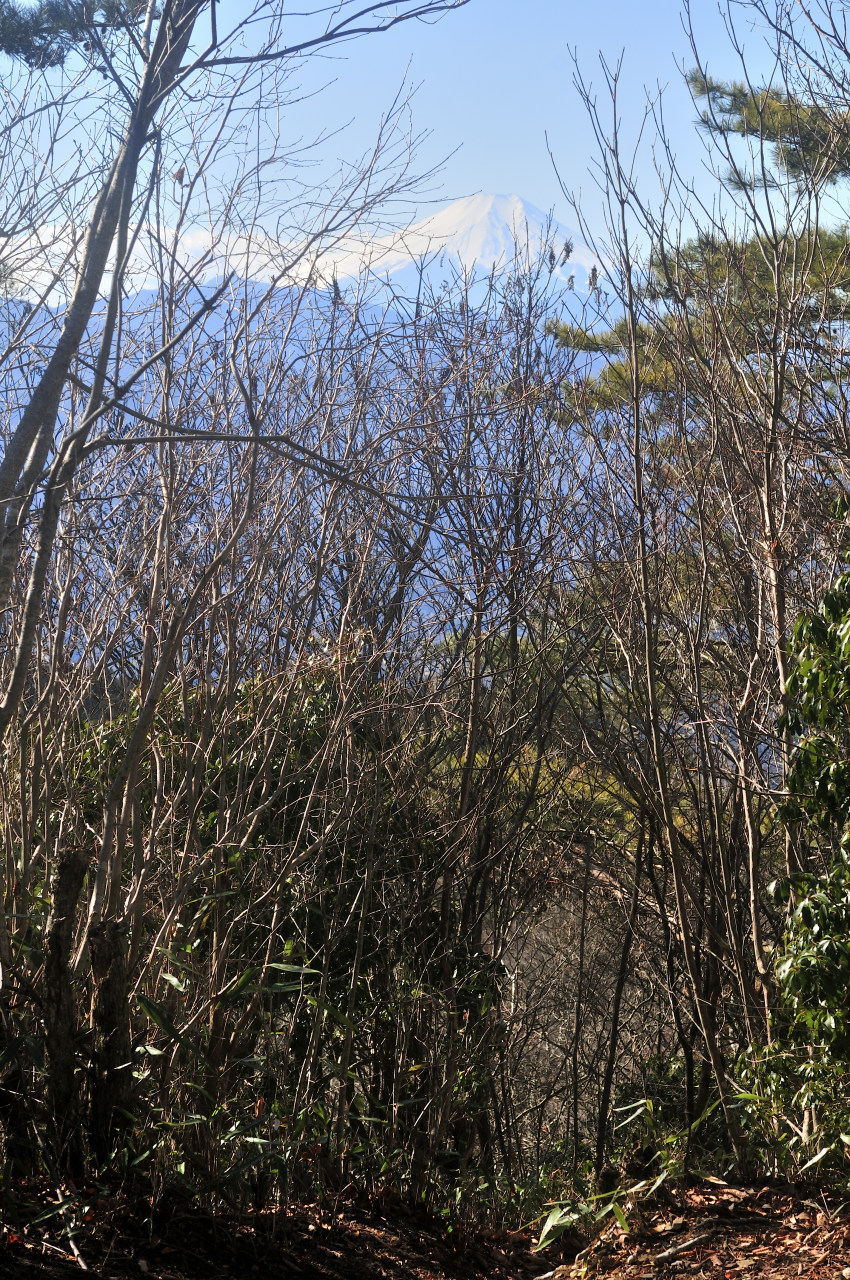 D2025002_081V