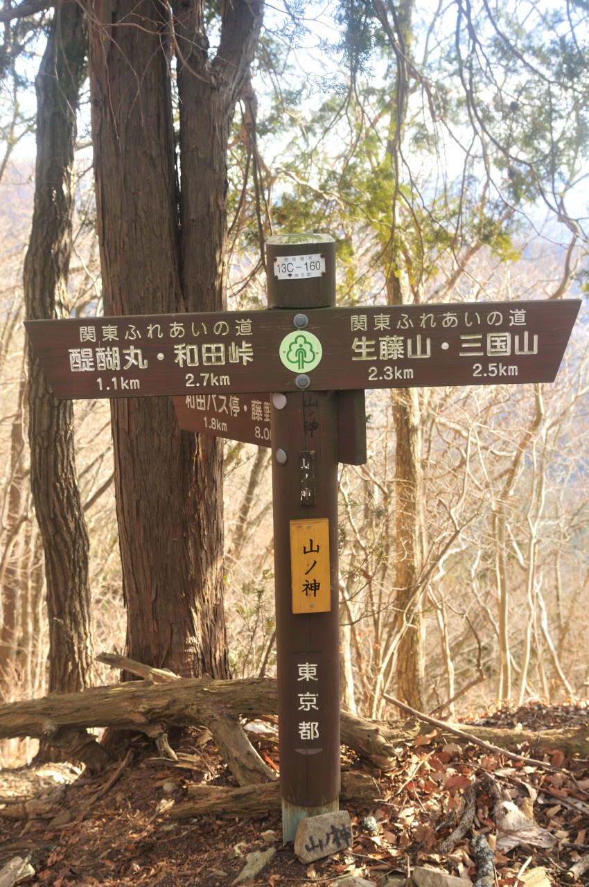 D2025002_145V