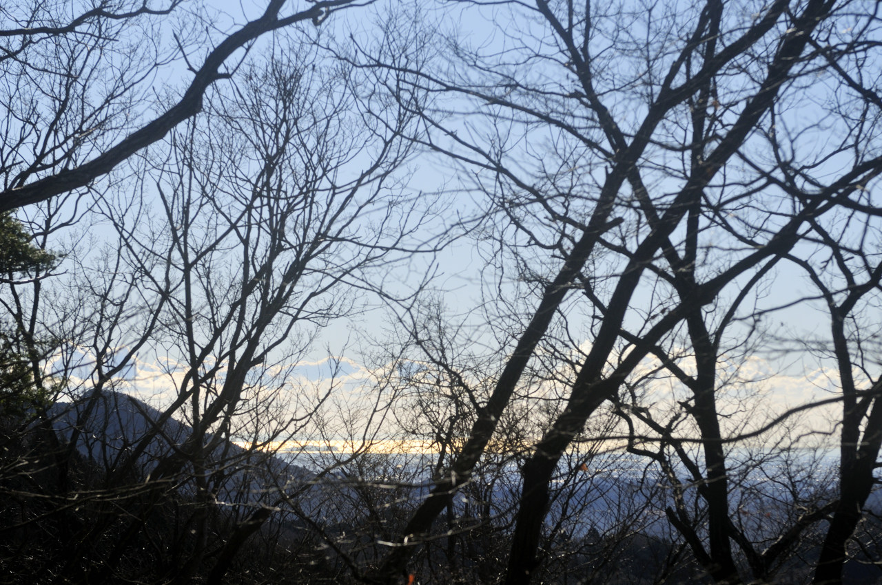 D2025006_016H