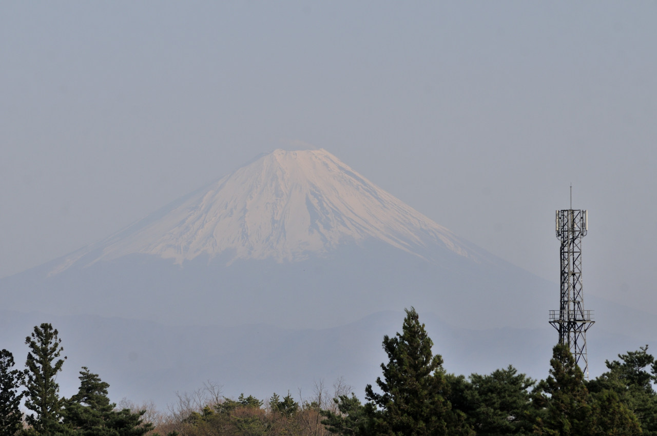 D2025020_015H