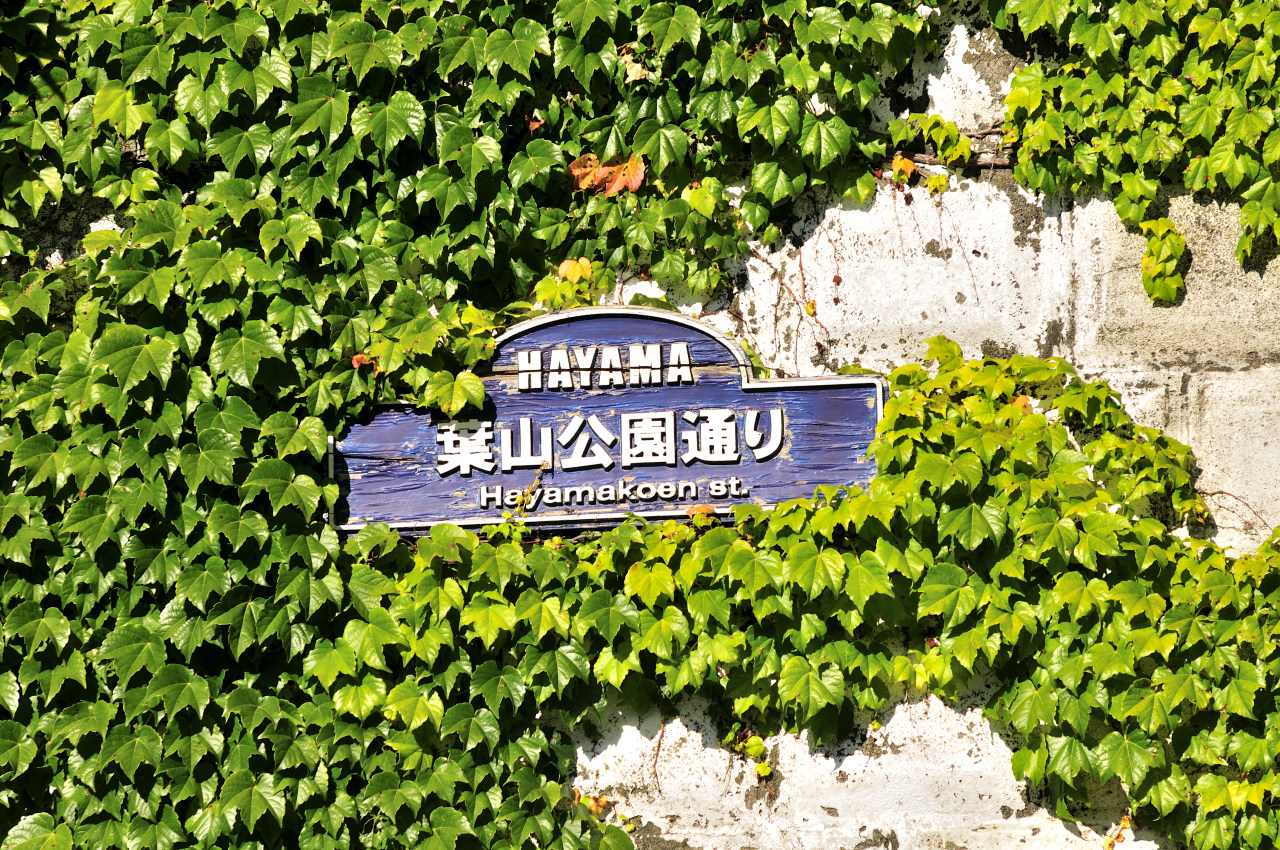 D2025030_219H