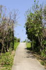 D2008032_003V