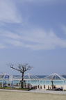 D2008032_039V