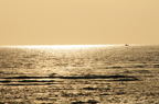 D2008033_093H