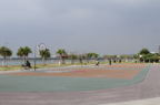 D2008033_239H