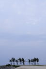 D2008036_035V