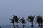 D2008036_036H