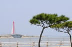 D2008038_006H