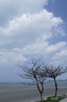 D2008038_031V
