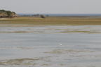 D2008038_106H