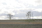 D2015020_068H