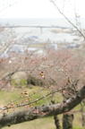 D2013027_062V