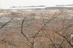D2013027_069H