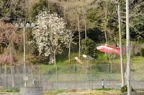 D2013028_006H
