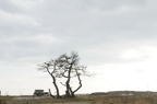 D2013028_040H