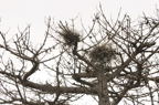D2013028_051H