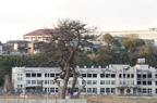 D2013028_128H