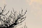 D2013028_159H
