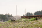 D2014016_116H