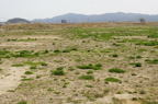 D2014019_027H