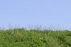 D2014019_037H