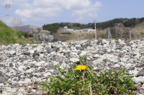 D2014019_040H