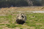D2014019_051H
