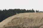 D2014019_104H