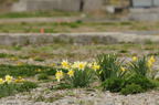 D2014021_016H