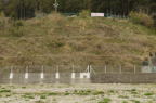 D2014021_018H