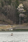 D2014021_033V