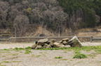 D2014021_044H