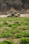 D2014021_047V